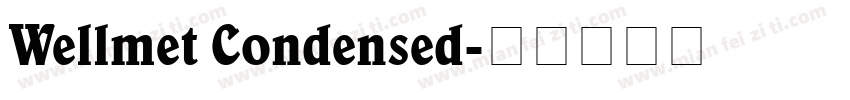 Wellmet Condensed字体转换